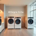 Allegre Gilles – Laverie automatique et libre-service à Moulins